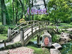 149 BONZAI A MAULEVRIER 2016_000039